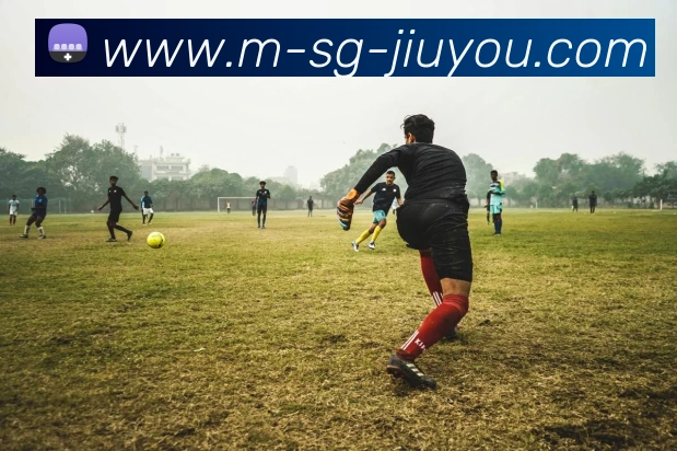 九游体育app平台生态图